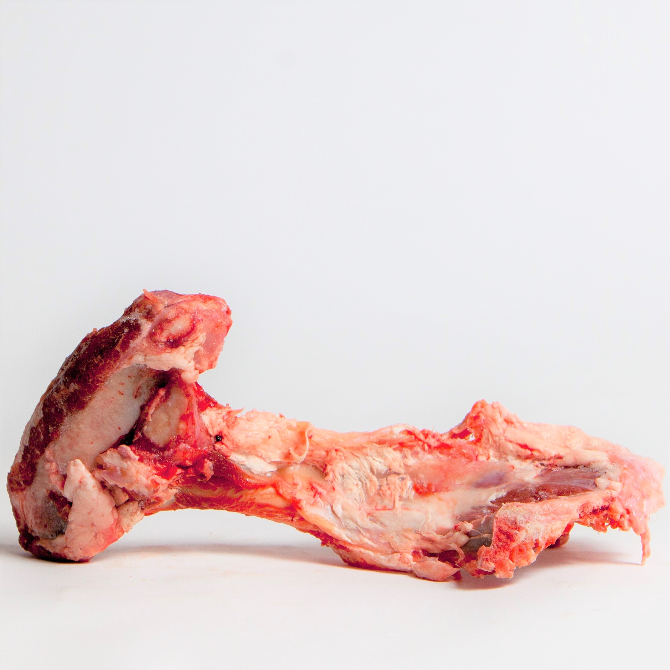 Is lamb bone safe for clearance dogs